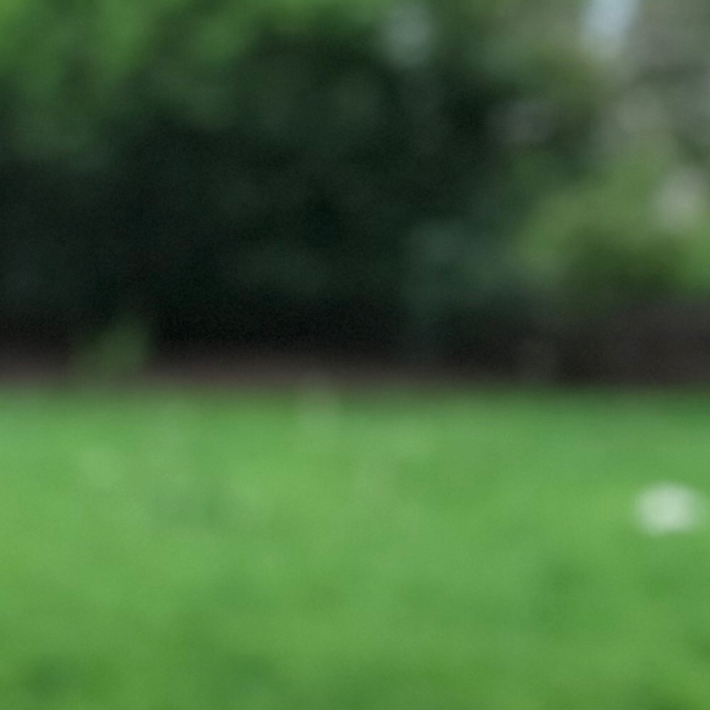 Meet your Posher, Dl